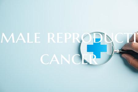 Female reproductive cancer
