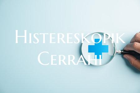 Histereskopik Cerrahi